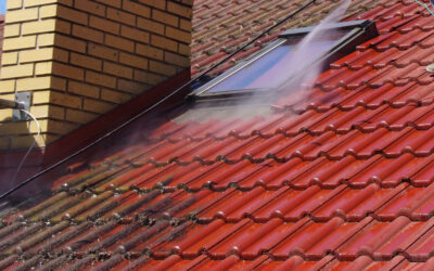The Importance of Roof Cleaning in Wollondilly